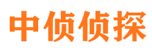 白沙侦探社